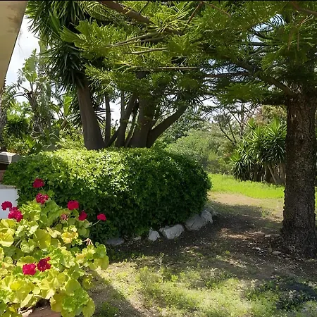 Viola E Giulio * סקופלו