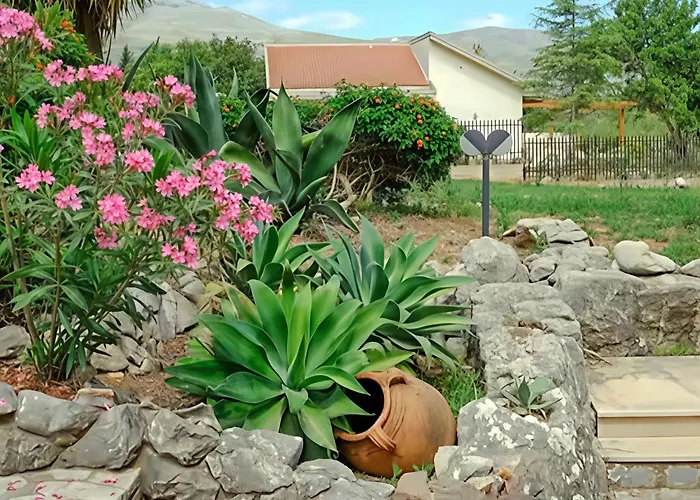 Viola E Giulio Scopello (Sicily)